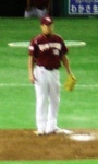 c2007Vl.JPG