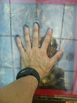 20060816100904.jpg