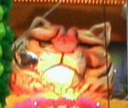 20070707174224.jpg