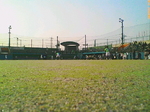 D1000953.jpg